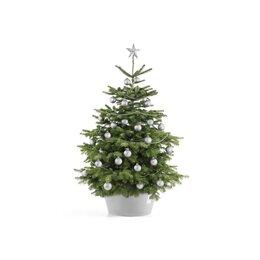 Ecopots kerstboomvoet XL - white grey Ø 50cm - afbeelding 2