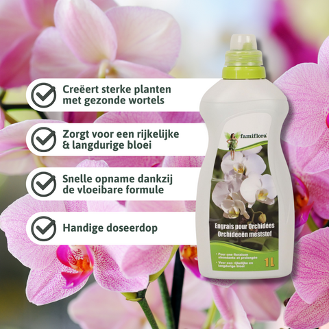 Engrais liquide pour orchidées 1l - image 2