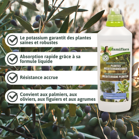 Engrais liquide pour plantes méditerranéennes 1L - image 3
