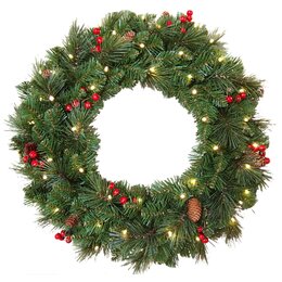 Everyday Pine Cone & Berry Wreath d61cm 50led