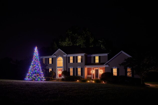 Fairybell 400CM-640LED multicolor - afbeelding 3