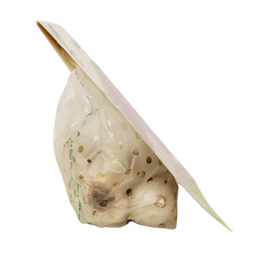 Allium mix paars/wit per 12 10/12 - afbeelding 5