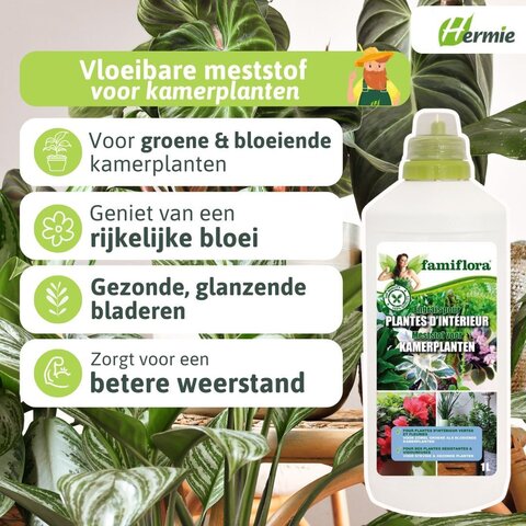 famiflora engrais liquide plantes d'intérieur 1L - image 2