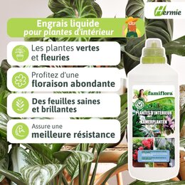 famiflora engrais liquide plantes d'intérieur 1L - image 3