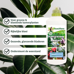 famiflora engrais liquide plantes d'intérieur 1L - image 2