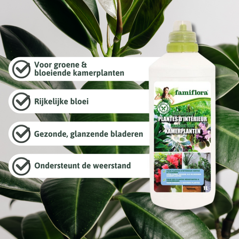 Famiflora vloeibare meststof voor Kamerplanten 1L - afbeelding 2