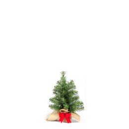 Forest table tree 30cm - afbeelding 1
