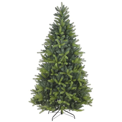 Frasier 180cm - afbeelding 1