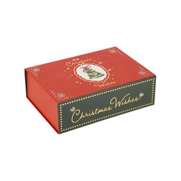 Geschenkdoos 28x20x9cm groen rood