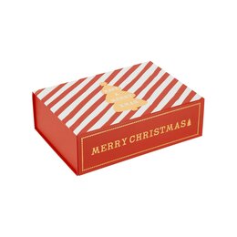 Geschenkdoos 28x20x9cm rood