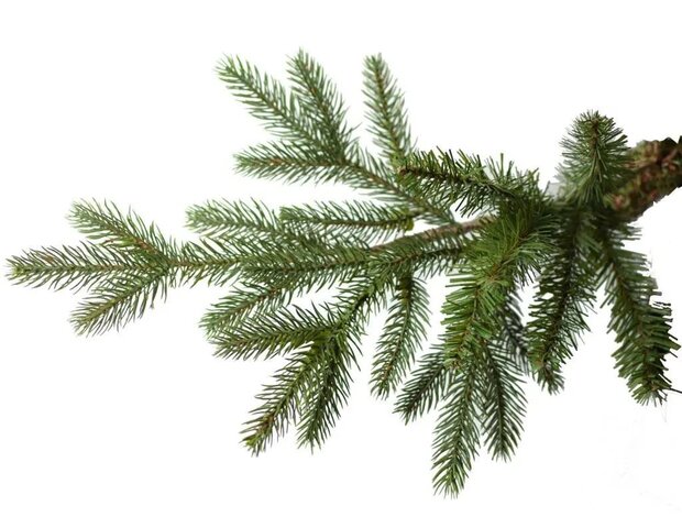 Goteborg PE hinged wooden base H183cm - afbeelding 3