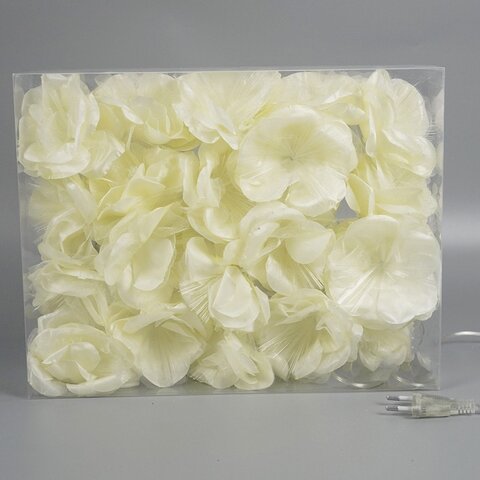 guirlande roses ivoire LED 20pcs