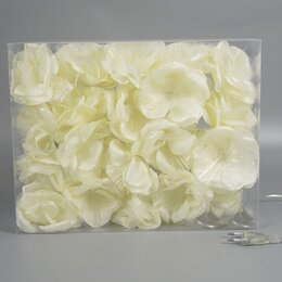 guirlande roses ivoire LED 20pcs