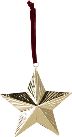 Hanger ster H10cm goud