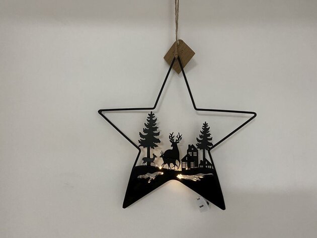Hanger ster landschap D29cm Led