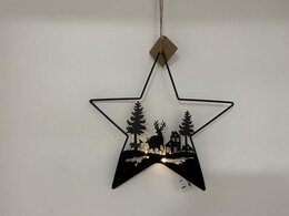 Hanger ster landschap D29cm Led