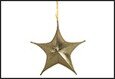Hanger ster Maria S goud