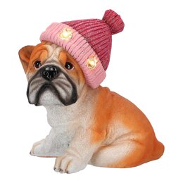 Hond met kerstmuts 20x20cm