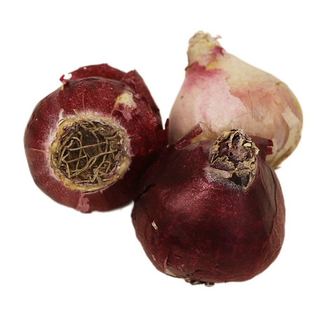 Hyacinth Mix per 10 - afbeelding 4