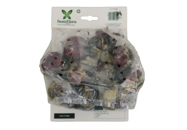 Hyacinth Mix per 10 - afbeelding 3