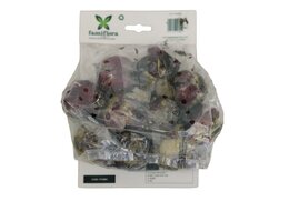 Hyacinth Mix per 10 - afbeelding 3