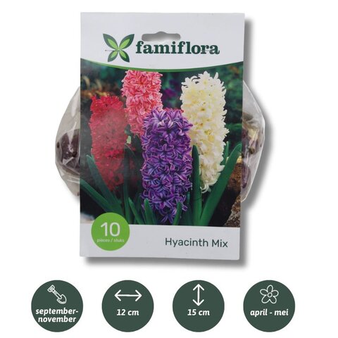 Hyacinth Mix per 10 - afbeelding 1