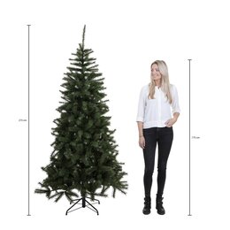 Kerstboom Charlton D127xH215cm groen - afbeelding 4