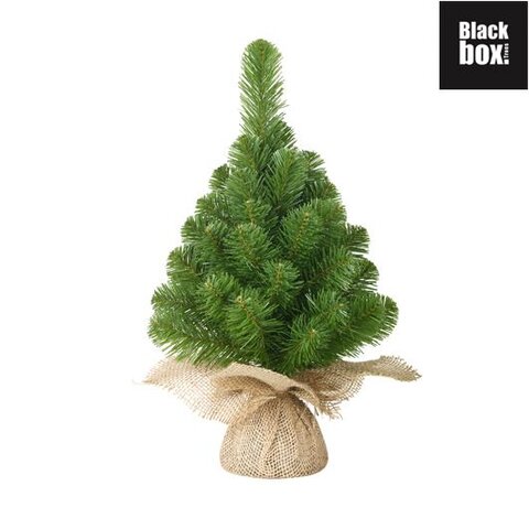 Kerstboom Norton D15xH30cm groen