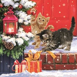 Kittens on doorstep 25x25cm