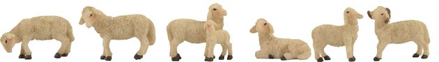 kudde schapen met lam