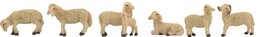 kudde schapen met lam