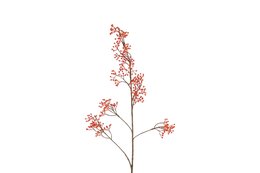 Kunstbes Ilex Verticillata L oran