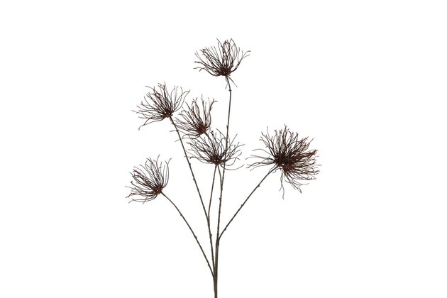 Kunstbloem Grevillea M bruin