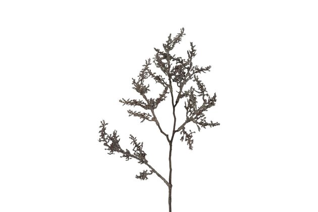 Kunsttak Astilbe S bruin