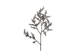 Kunsttak Astilbe S bruin