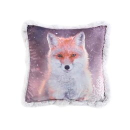 Kussen 40x40cm Aspen