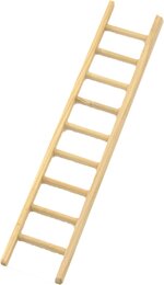 ladder
