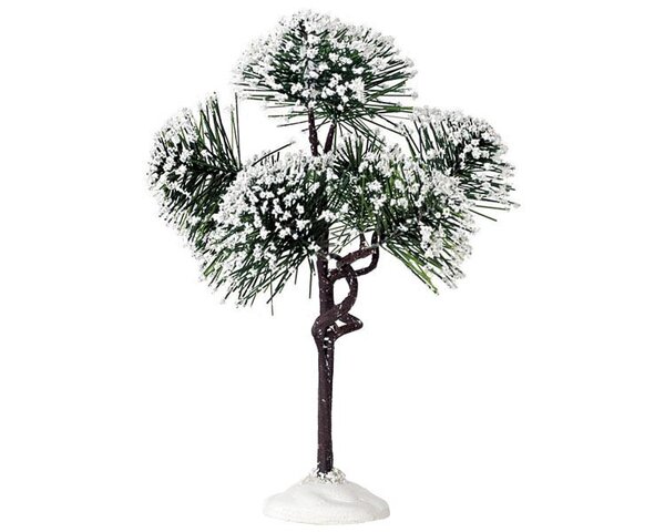 Lemax Mountain Pine, Medium
