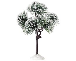 Lemax Mountain Pine, Medium