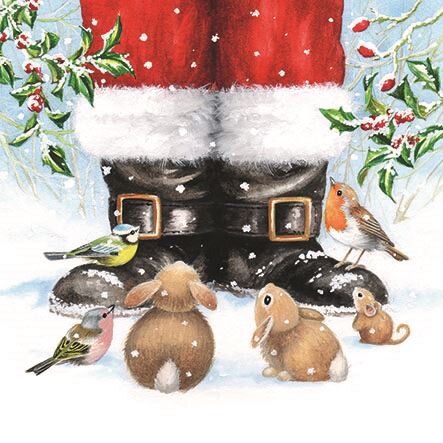 Looking up to Santa 33x33cm