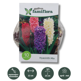 Hyacinth Mix per 10