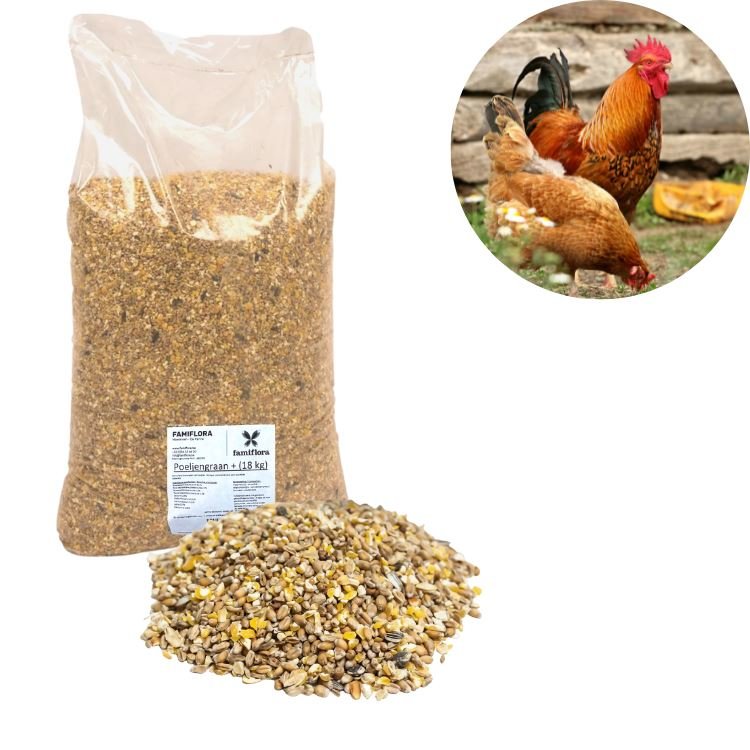 Mélange pour poules 18kg - Famiflora ouvert 7/7