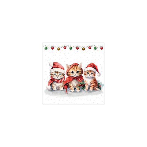 Napkin 33 Funny cute kittens