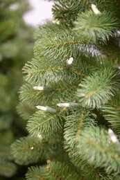 Nordmann  180cm LED - afbeelding 3