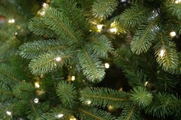 Nordmann 180cm LED - image 4