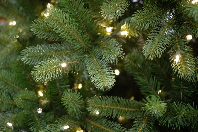Nordmann 210cm LED - afbeelding 3