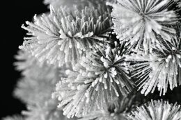 Oregon Flocked needle pine wreath d60cm - image 2