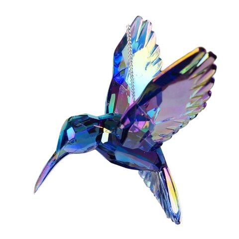Orn. Kolibri blauw