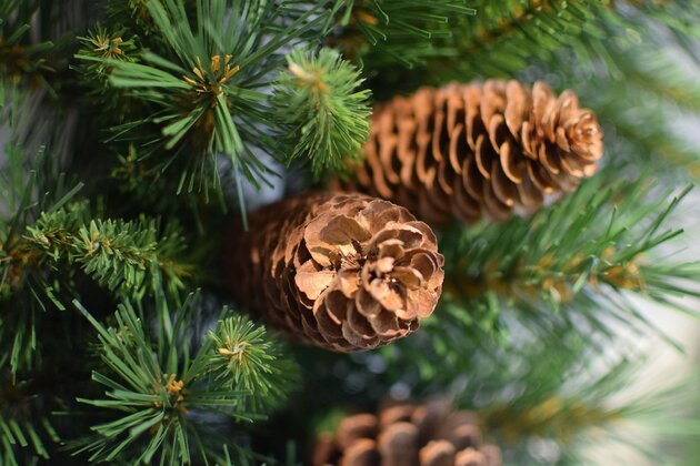 Pine Cone Wreath D30cm - image 2