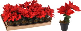 Plant artificiël poinsettia H17cm 3bloemen
